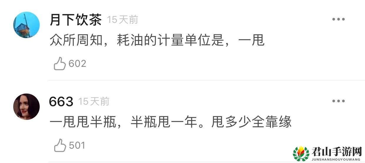 耗油计量单位的独特梗