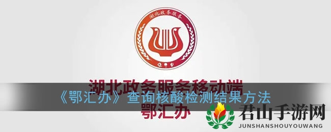 《鄂汇办》查询核酸检测结果方法