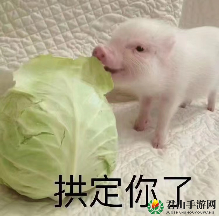 罗志祥多人运动表情包分享