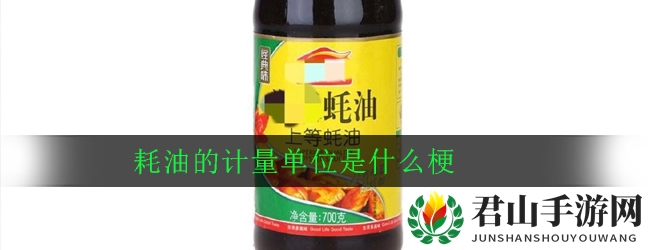 耗油计量单位的独特梗