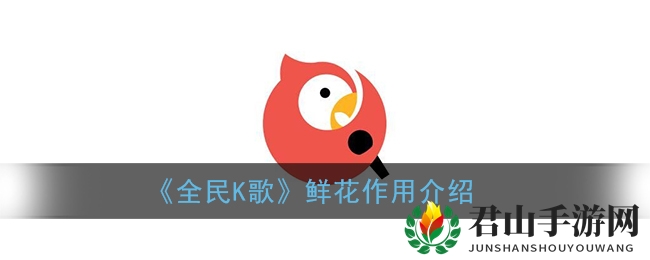 《全民K歌》鲜花作用解析