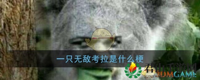 考拉梗的奥秘