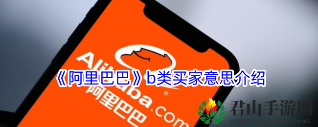 《阿里巴巴》b类买家意思介绍