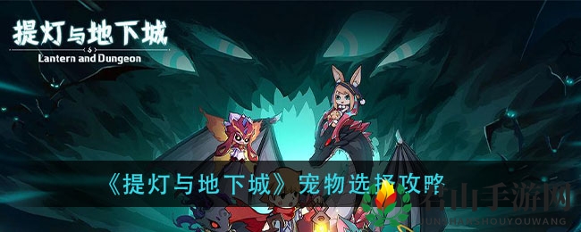 《提灯与地下城》宠物选择攻略