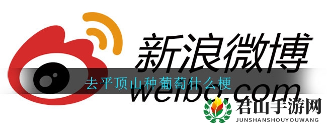 去平顶山种葡萄什么梗