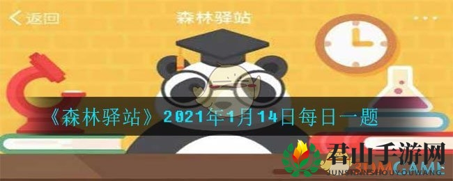 《森林驿站》2021年1月14日每日一题